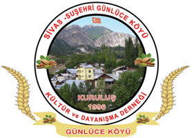 gunlucekoyu.net